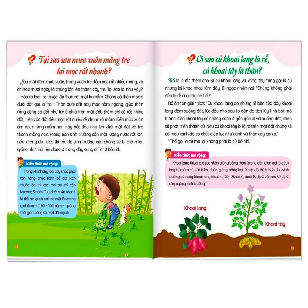 10 vạn câu hỏi vì sao? Phiên bản mới 5.0