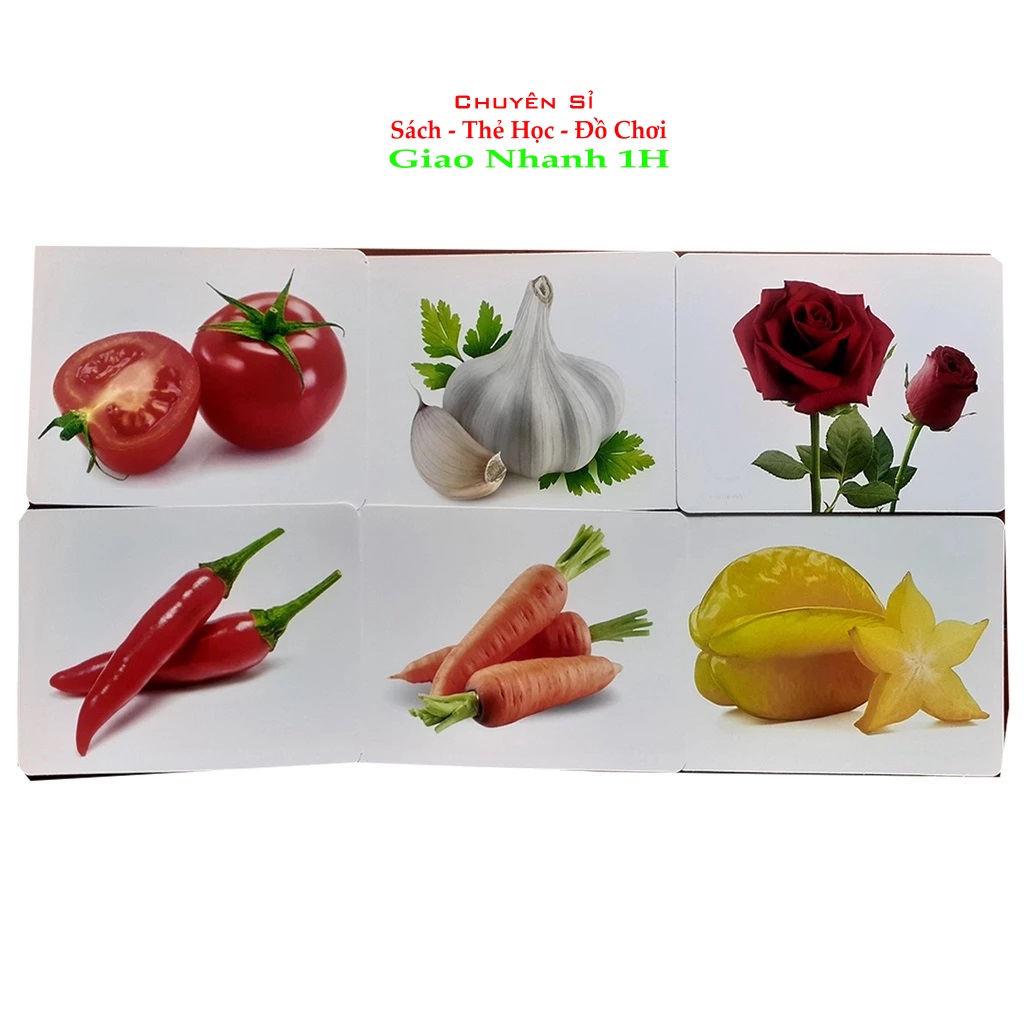 Thẻ học thông minh 16 chủ đề,khổ A5,chống thấm nước