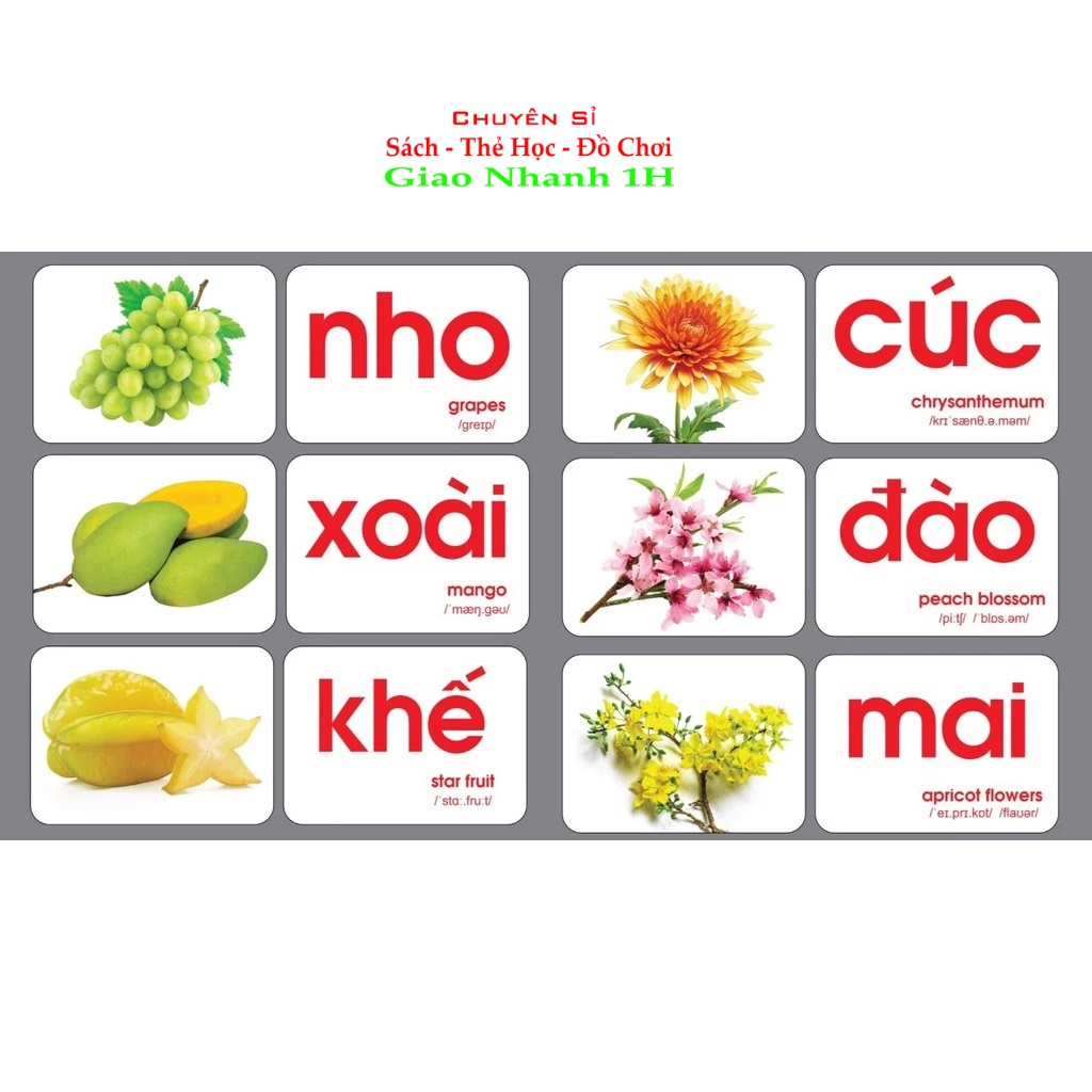 Thẻ học thông minh 16 chủ đề,khổ A5,chống thấm nước