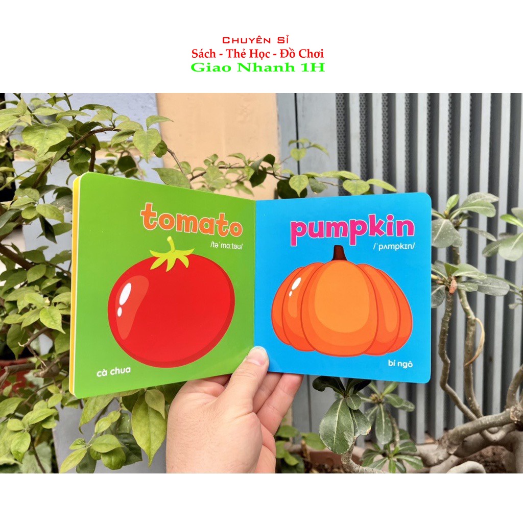 Bộ Bìa Cứng Thư Viện Hình Ảnh Đầu Tiên Cho Bé Về Thế Giới Xung (8 Cuốn)