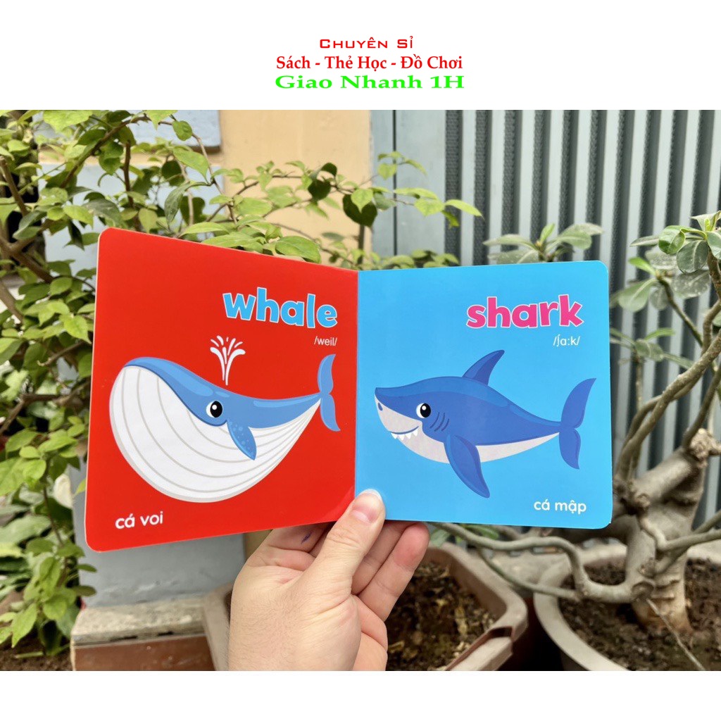 Bộ Bìa Cứng Thư Viện Hình Ảnh Đầu Tiên Cho Bé Về Thế Giới Xung (8 Cuốn)