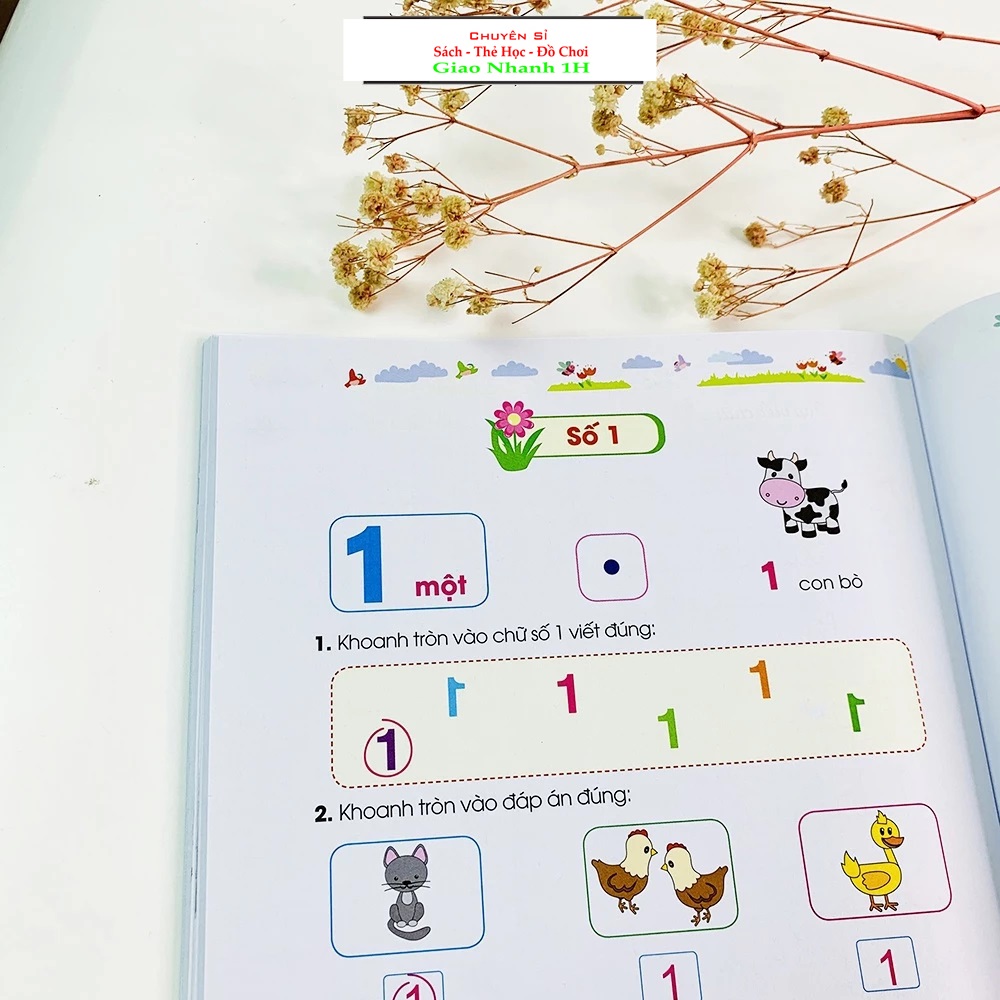 Vở Tập Viết Trọn Bộ Cho Bé Vào Lớp 1 - Phiên Bản Mới Nhất 5 Trong 1