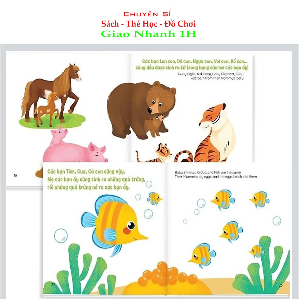 Ehon cùng con khám phá thế giới động vật