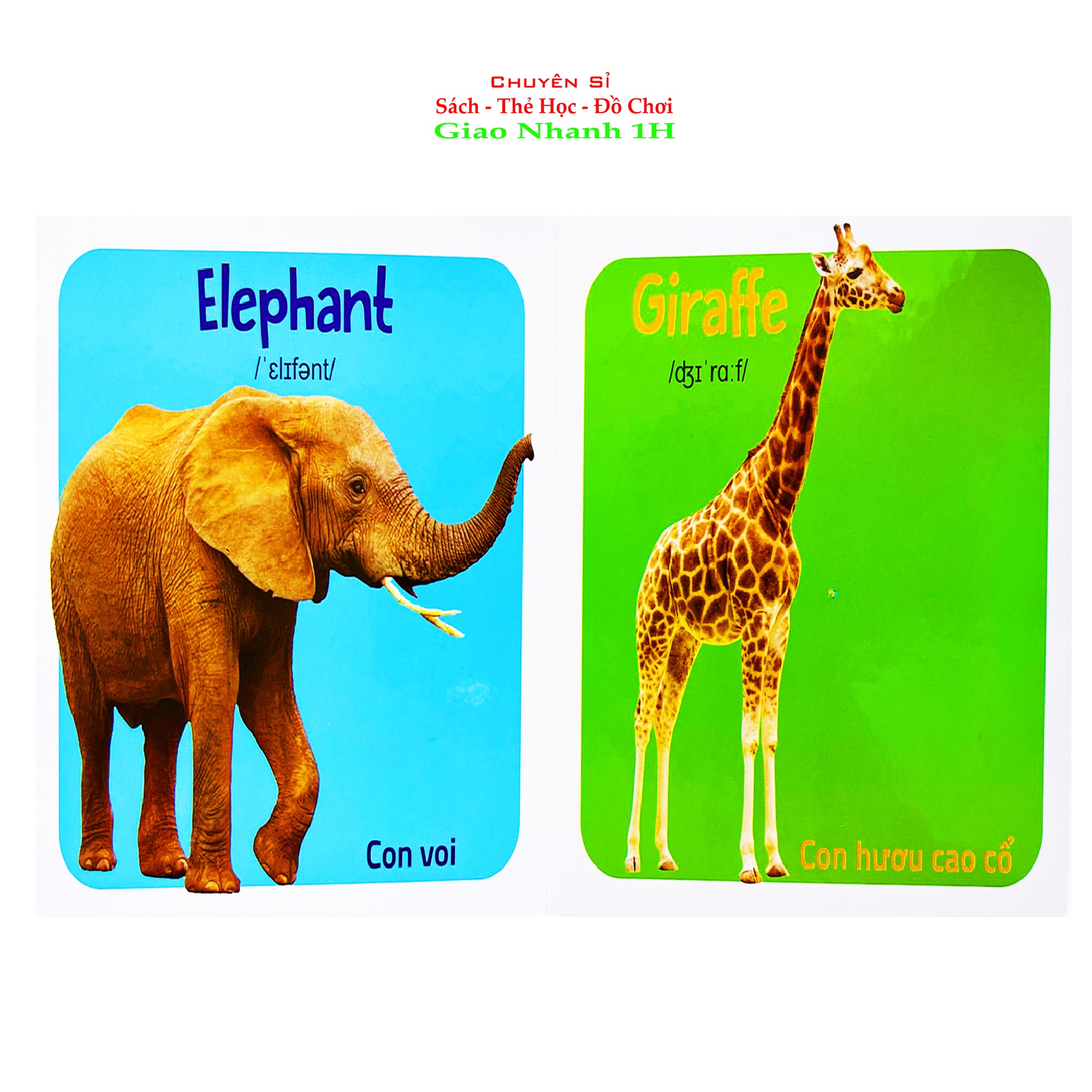 Thư Viện Hình Ảnh Đầu Tiên Cho Bé Nhận Biết Thế Giới Xung Quanh