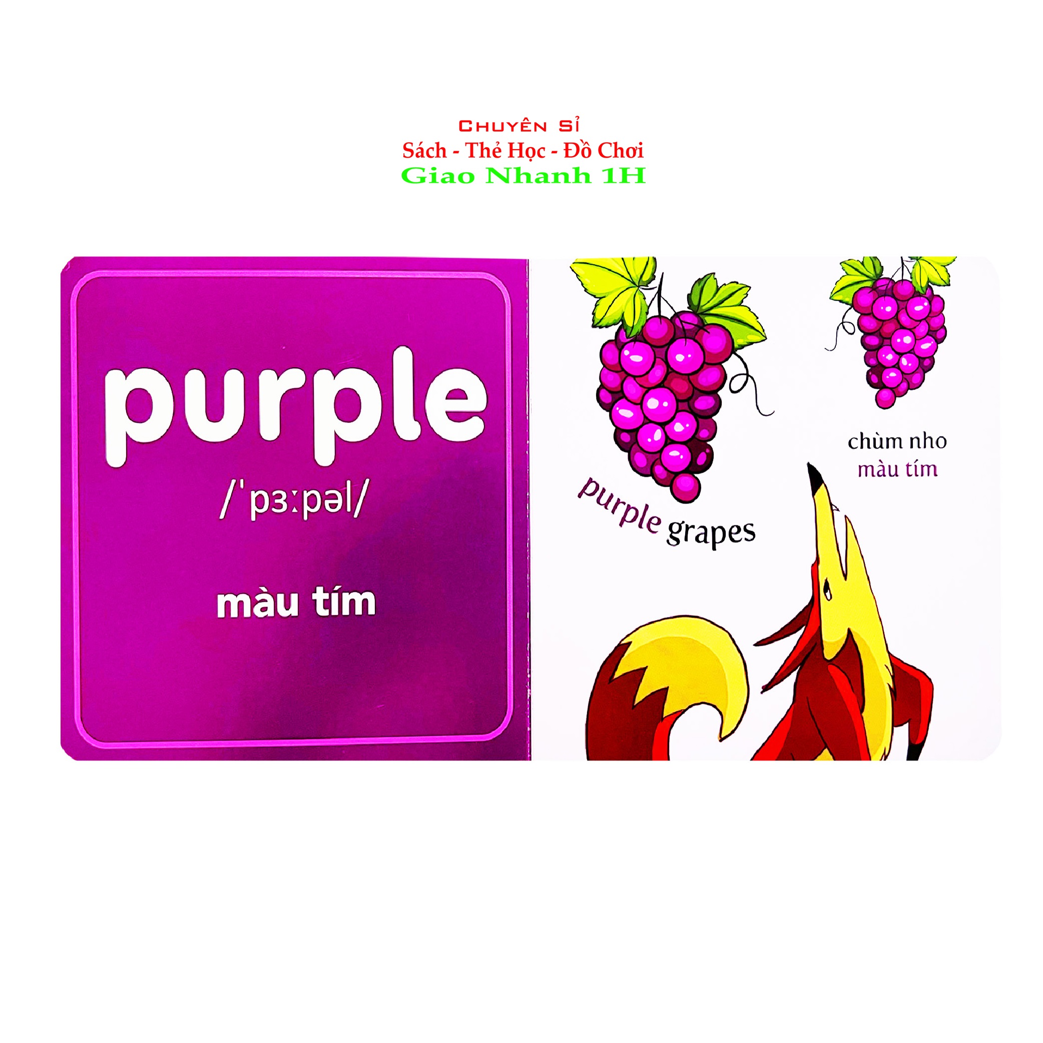 Bộ Hộp Thư Viện Hình Ảnh Đầu Tiên Cho Bé Từ 0 6 Tuổi