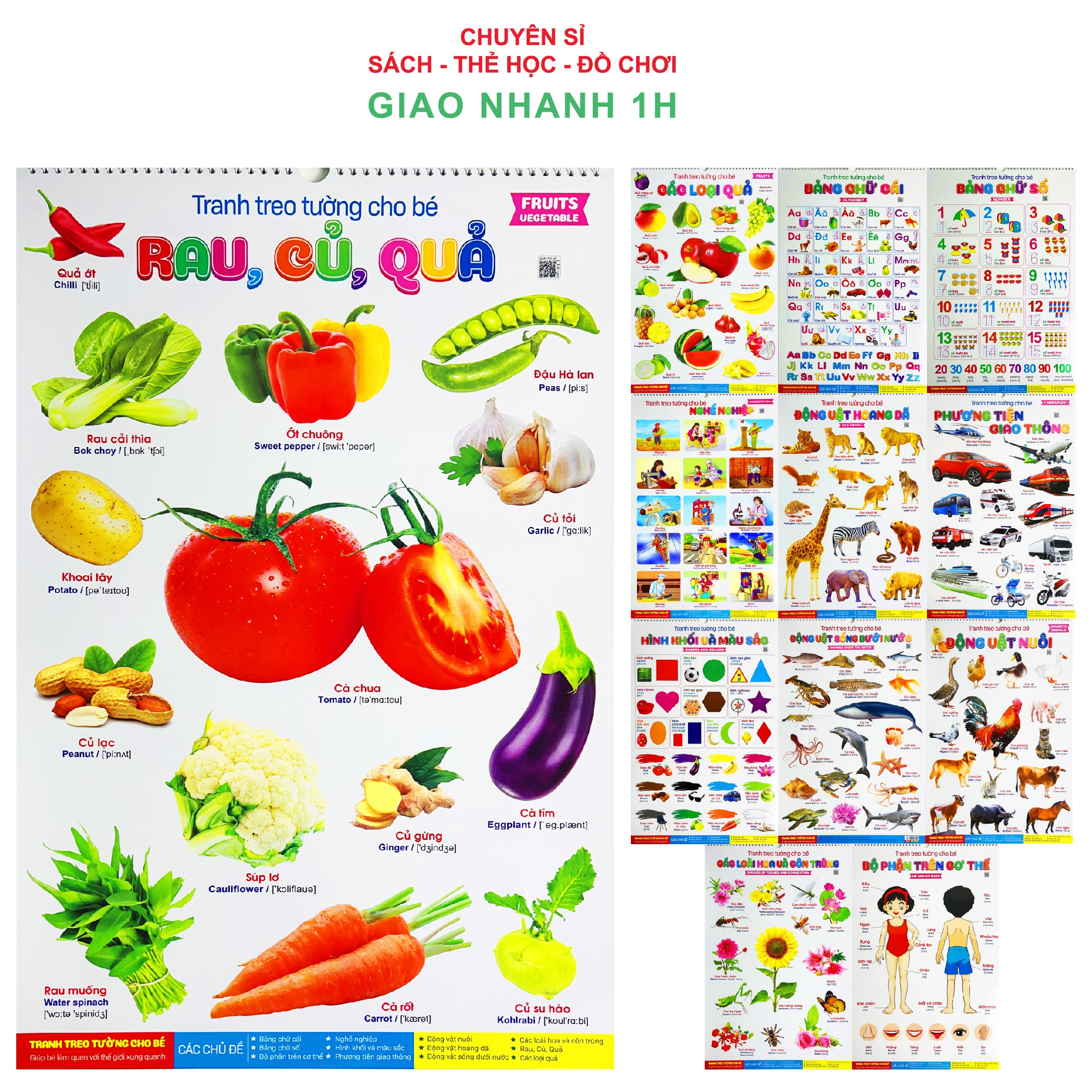 Bộ tranh treo tường song ngữ Anh Việt 14 chủ đề cho bé