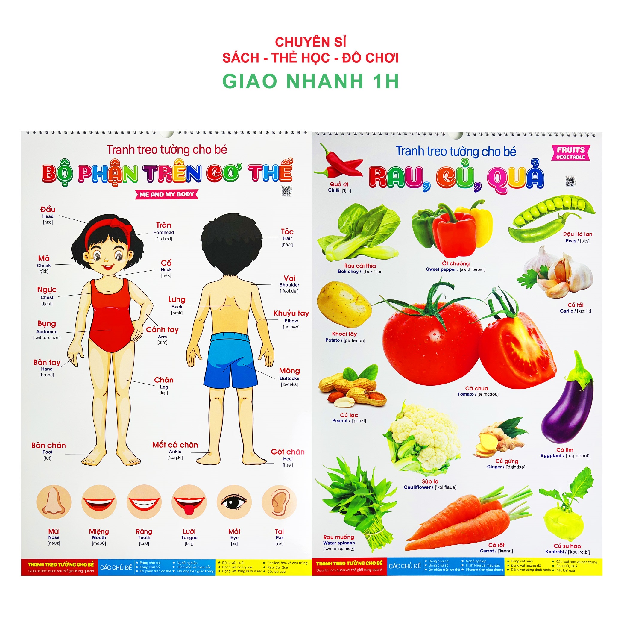 Bộ tranh treo tường song ngữ Anh Việt 14 chủ đề cho bé