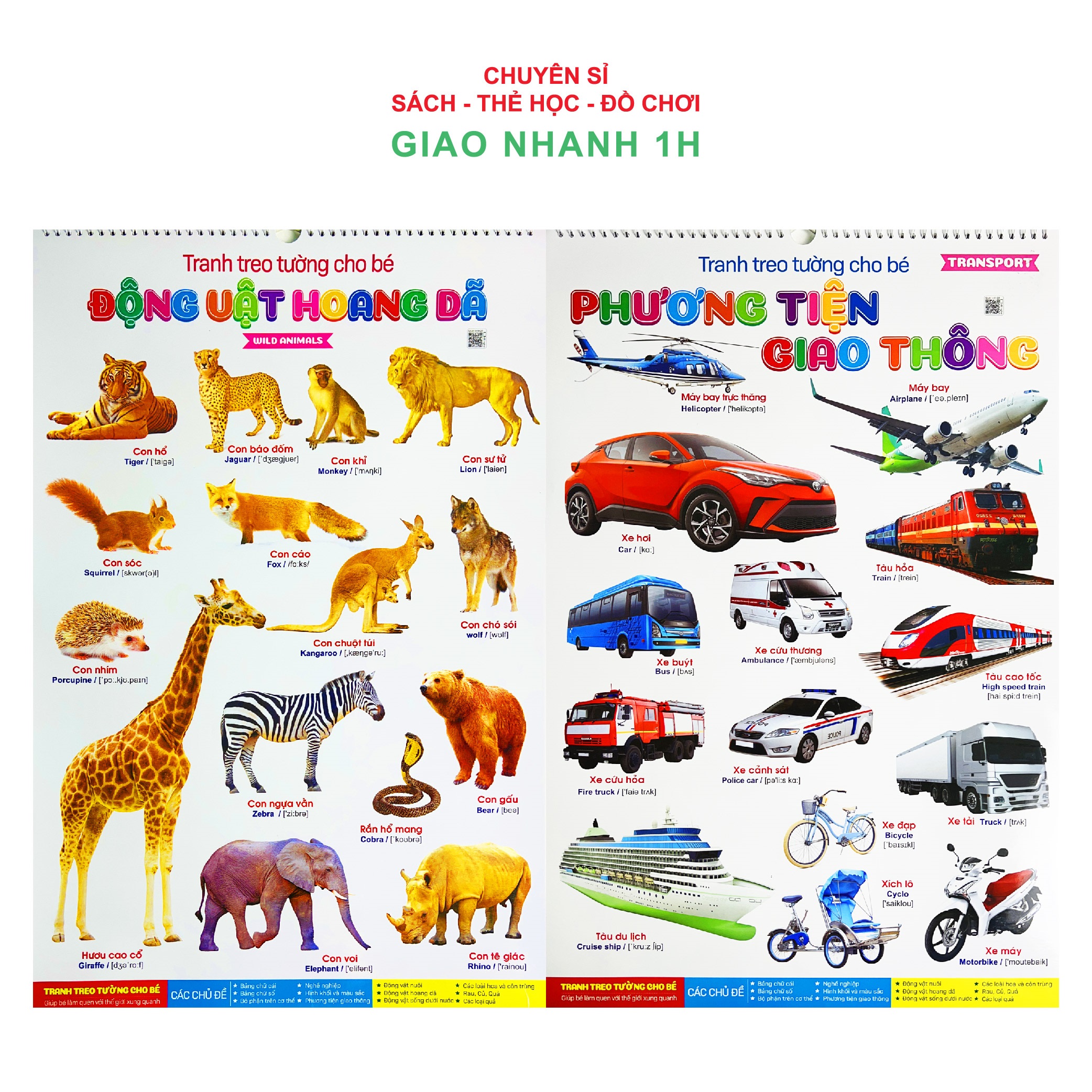 Bộ tranh treo tường song ngữ Anh Việt 14 chủ đề cho bé