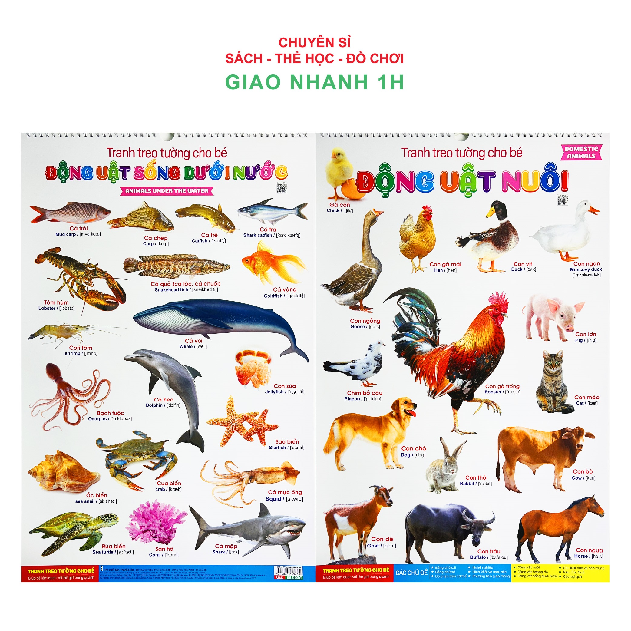 Bộ tranh treo tường song ngữ Anh Việt 14 chủ đề cho bé